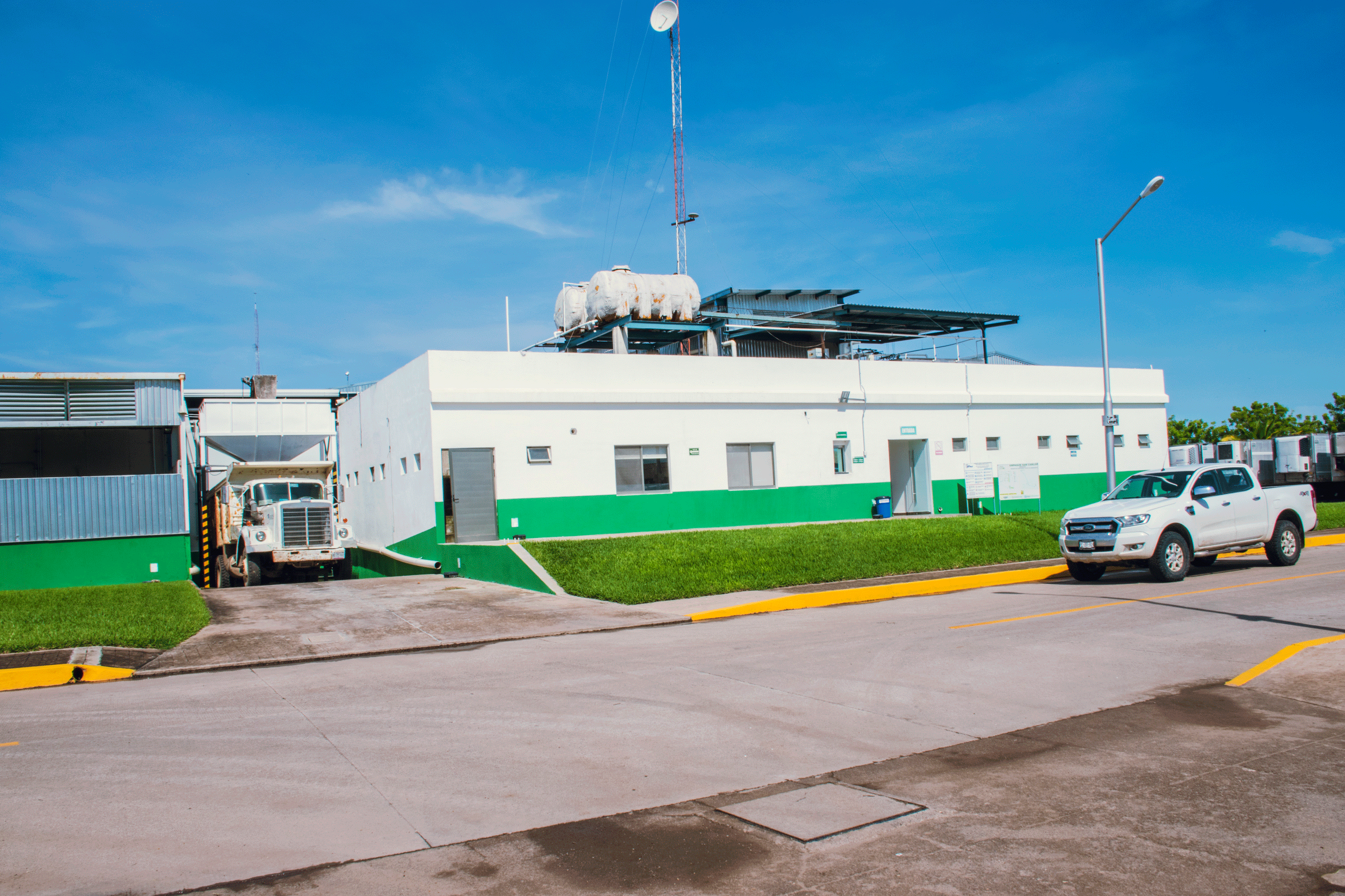 campo9