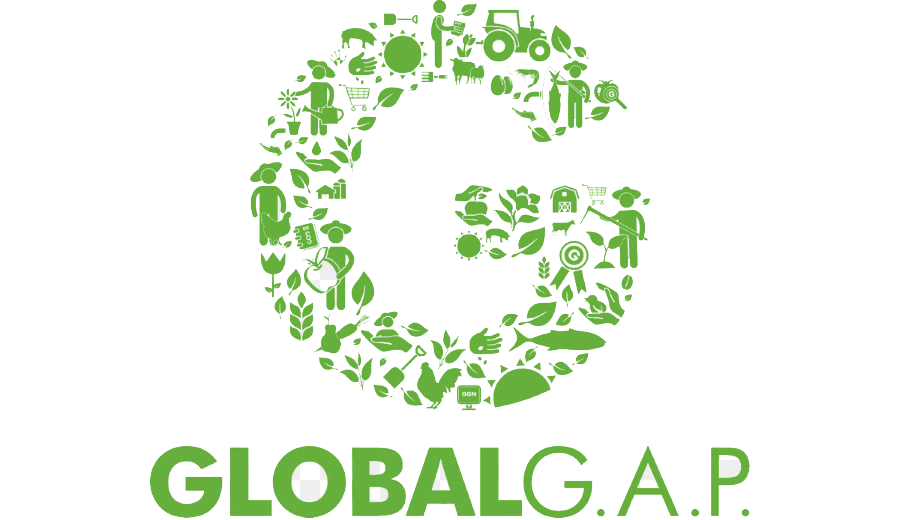 globalvector